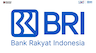 BRI Logo